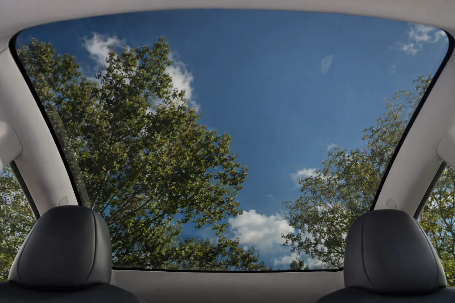 Looking up through the tinted glass roof of a Tesla Model Y at blue sky and trees